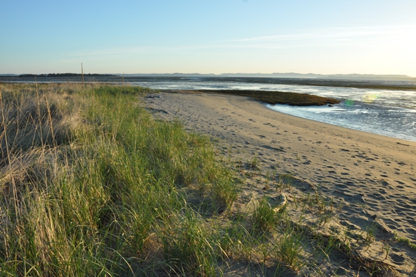 low tide