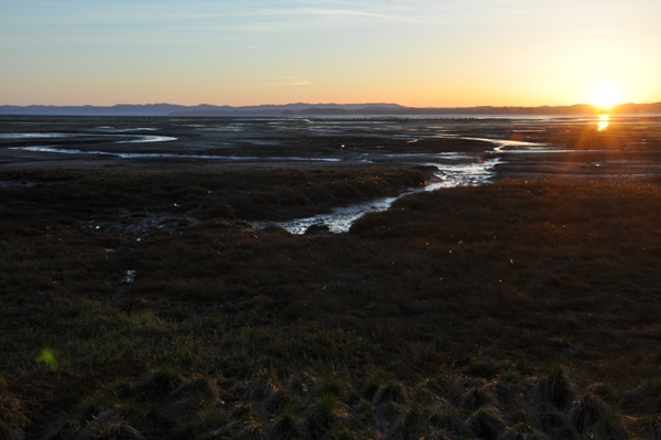 Willapa Bay 