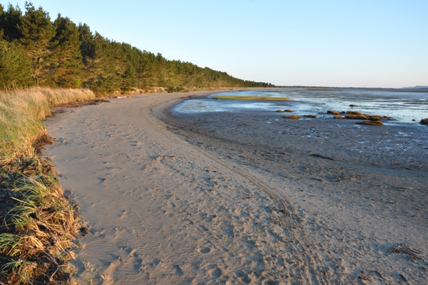 Bay Loop Trail 