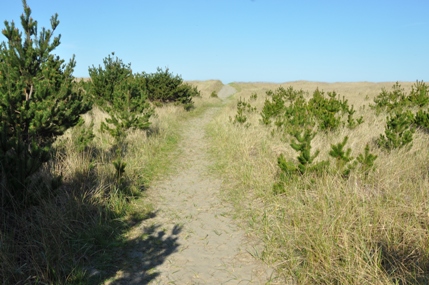 loomis lake sand