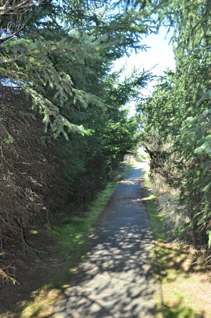 loomis lake trail