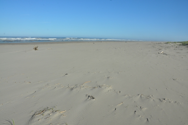 washington beaches