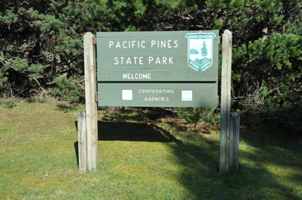 pacific pines state park