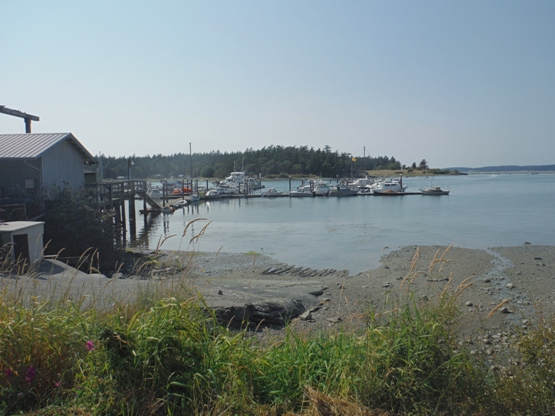 Lopez Islander Marina