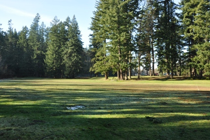 maple valley washington lodging maple valley washington lodging