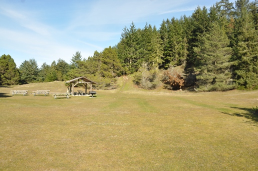 picnic area