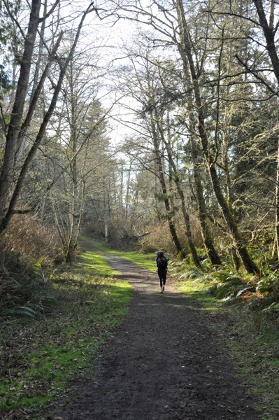 Bluff Trail