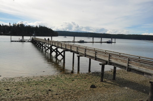 mystery bay dock
