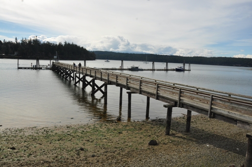 mystery bay dock