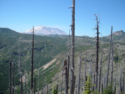 Dead Zone to Windy Ridge