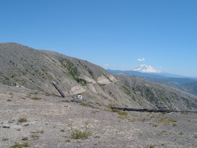 road_to_windy_ridge.jpg