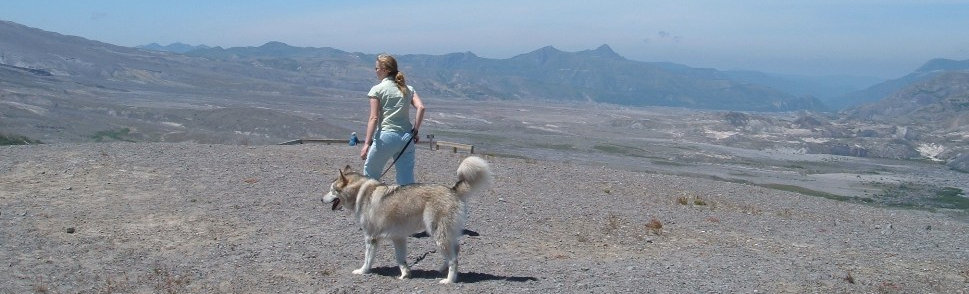 Windy Ridge