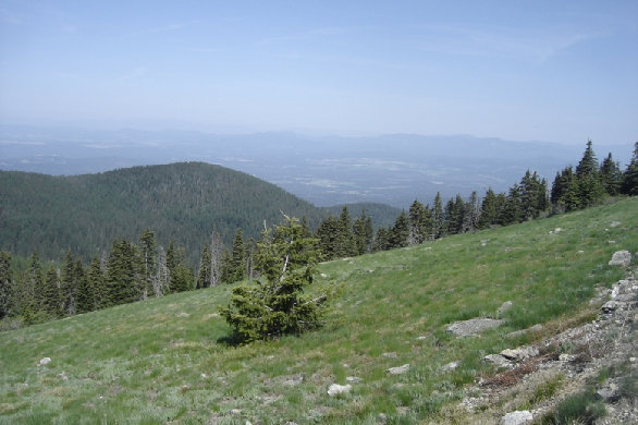 Spokane State Park