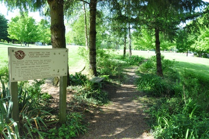 Fuchsia Garden