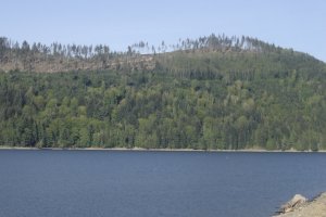 Alder Overlook