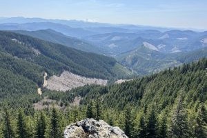 Trout Creek Peak