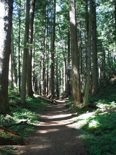 greenwater lakes trail