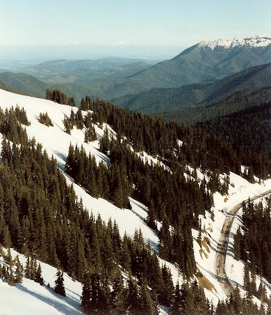 hurricane_ridge_road.jpg