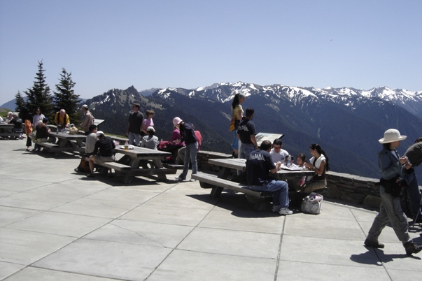 Hurricane Ridge visitors center 