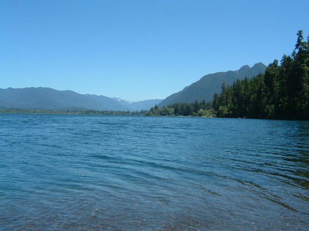 Lake Quinault