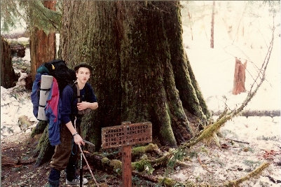 Worlds Largest Western Hemlock