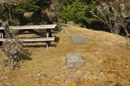 little summit picnic