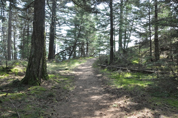 hiking trail
