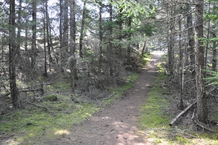 Little Summit trail