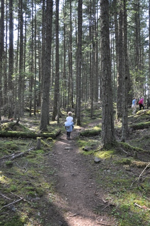 hiking trail