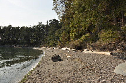 orcas island beach