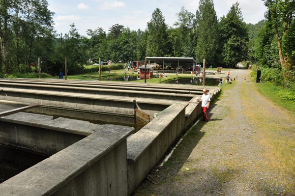 fish hatchery