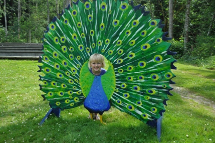 peacock