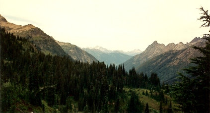 Agnes Creek Valley 