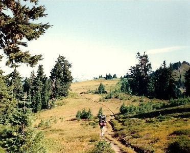 Grizzly Peak