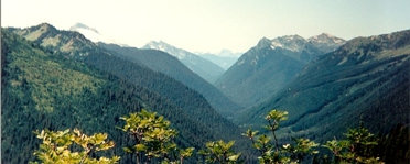 Sauk River Valley