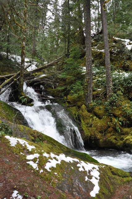 Purcell Falls 