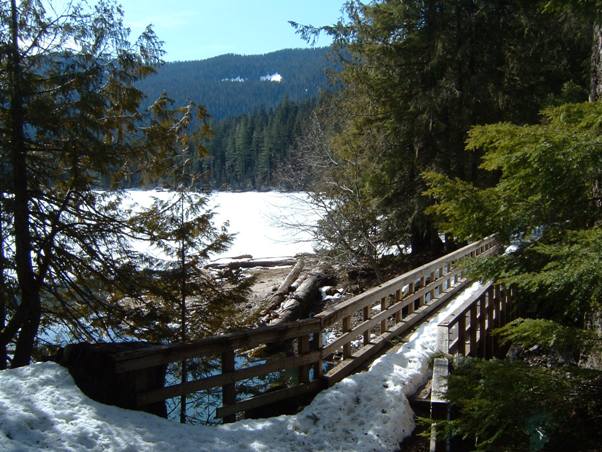 Packwood Lake bridge