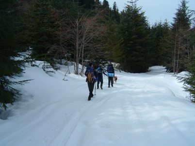 packwood lake trail