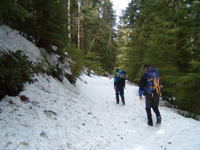 packwood lake trail