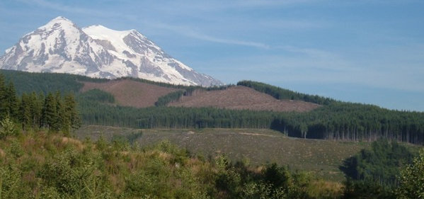 mount rainier