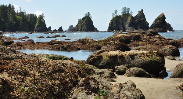 sea stacks