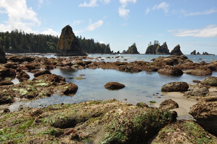 tidepools