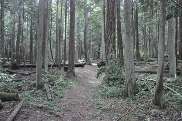 Hiking trail