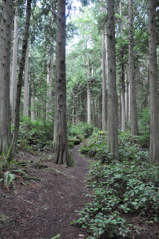 hiking fort townsend