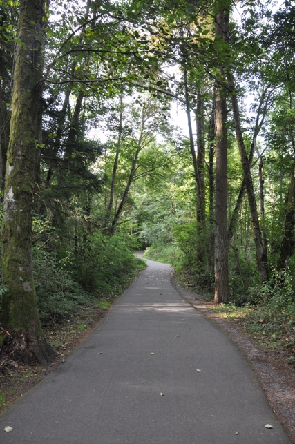 Bradley Lake Park  