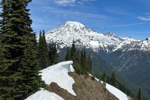 Dixon Mountain
