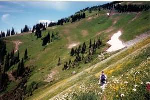 Tatoosh Peak