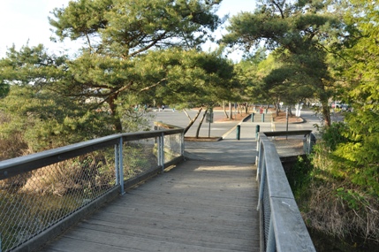 coulon beach park