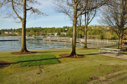 coulon beach park