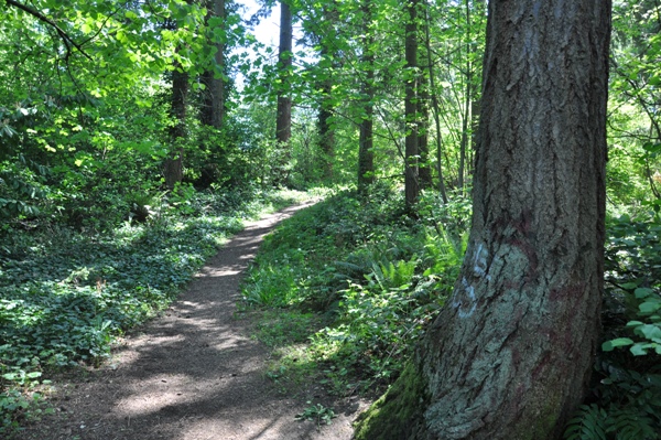 windsor hill park